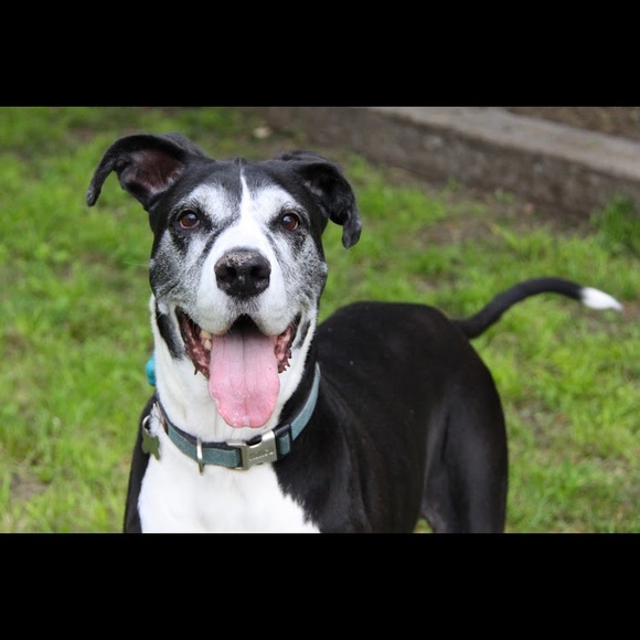 Meet your Posher, Hannah - Picture 5 of 5